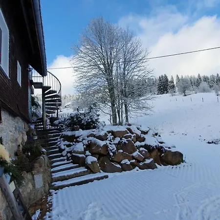 Manu'S Ferienwohnung Schluchsee Exterior photo