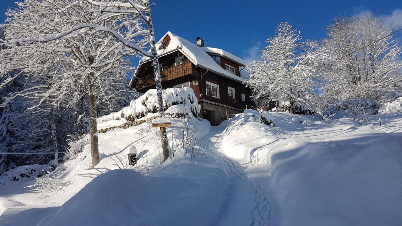Apartment Manu's Schluchsee