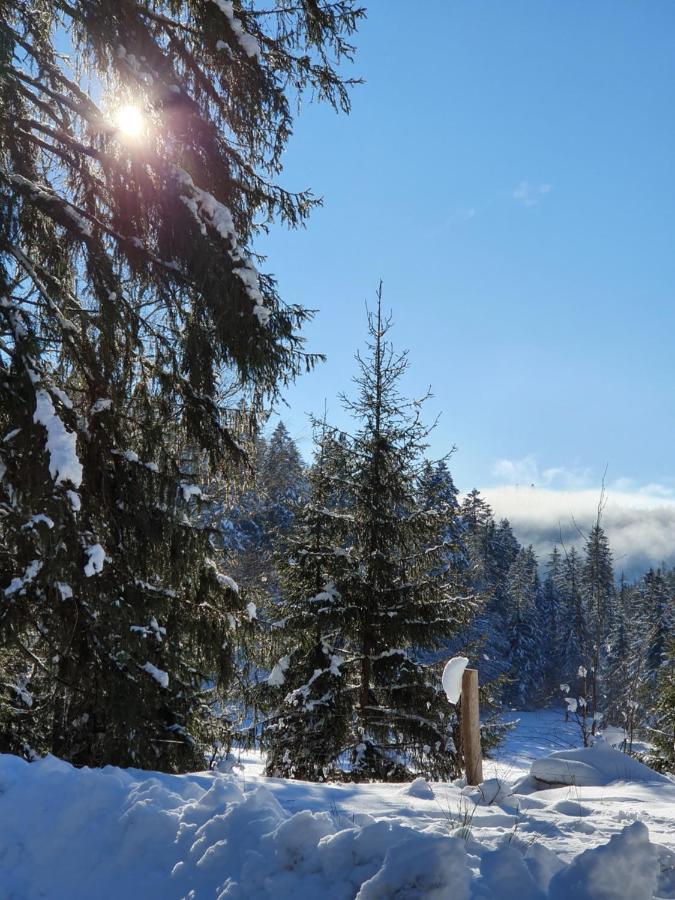 Manu's Schluchsee