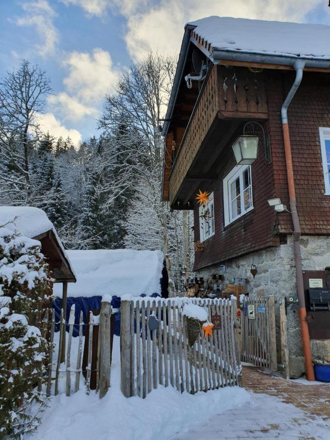 Manu's Schluchsee