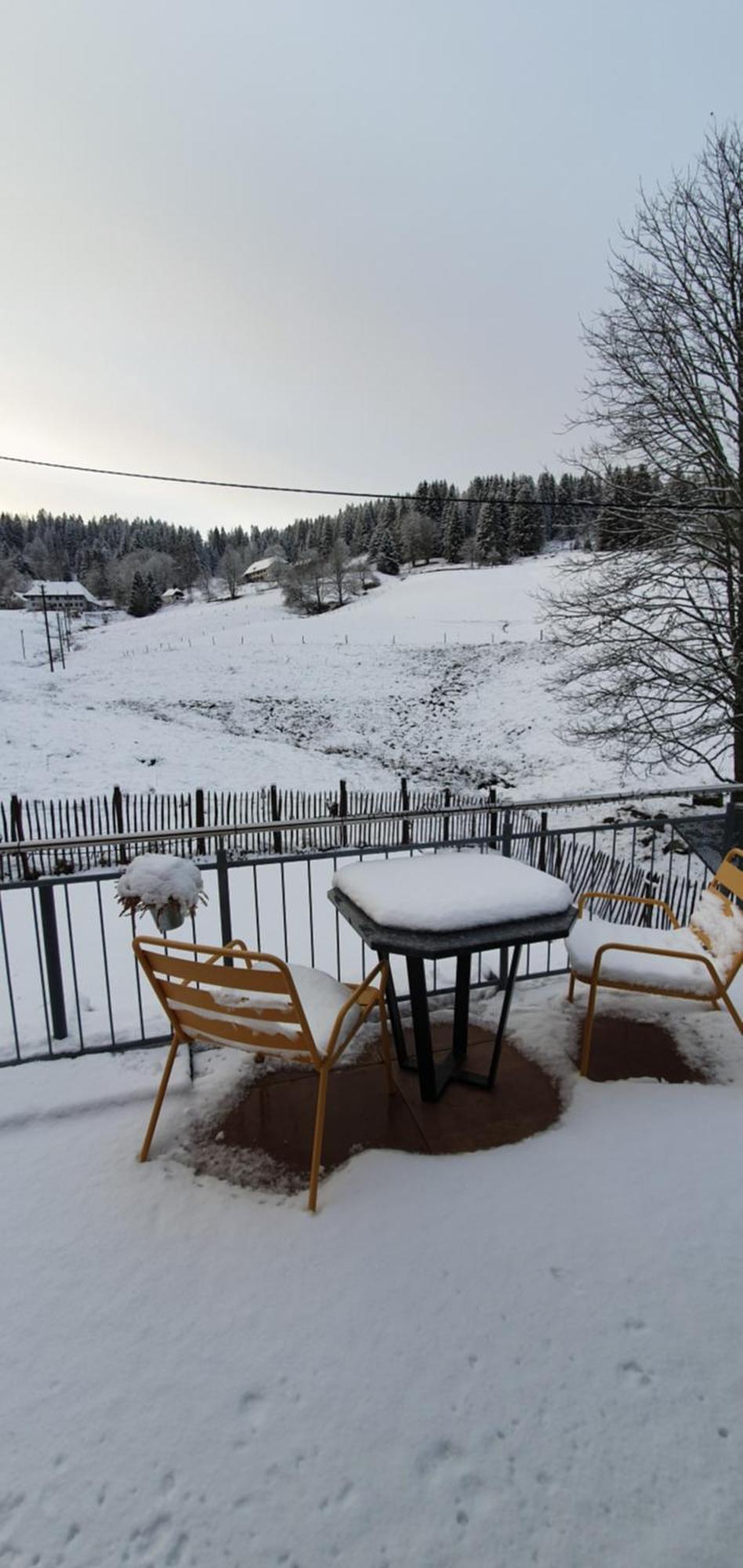 Apartment Manu's Schluchsee